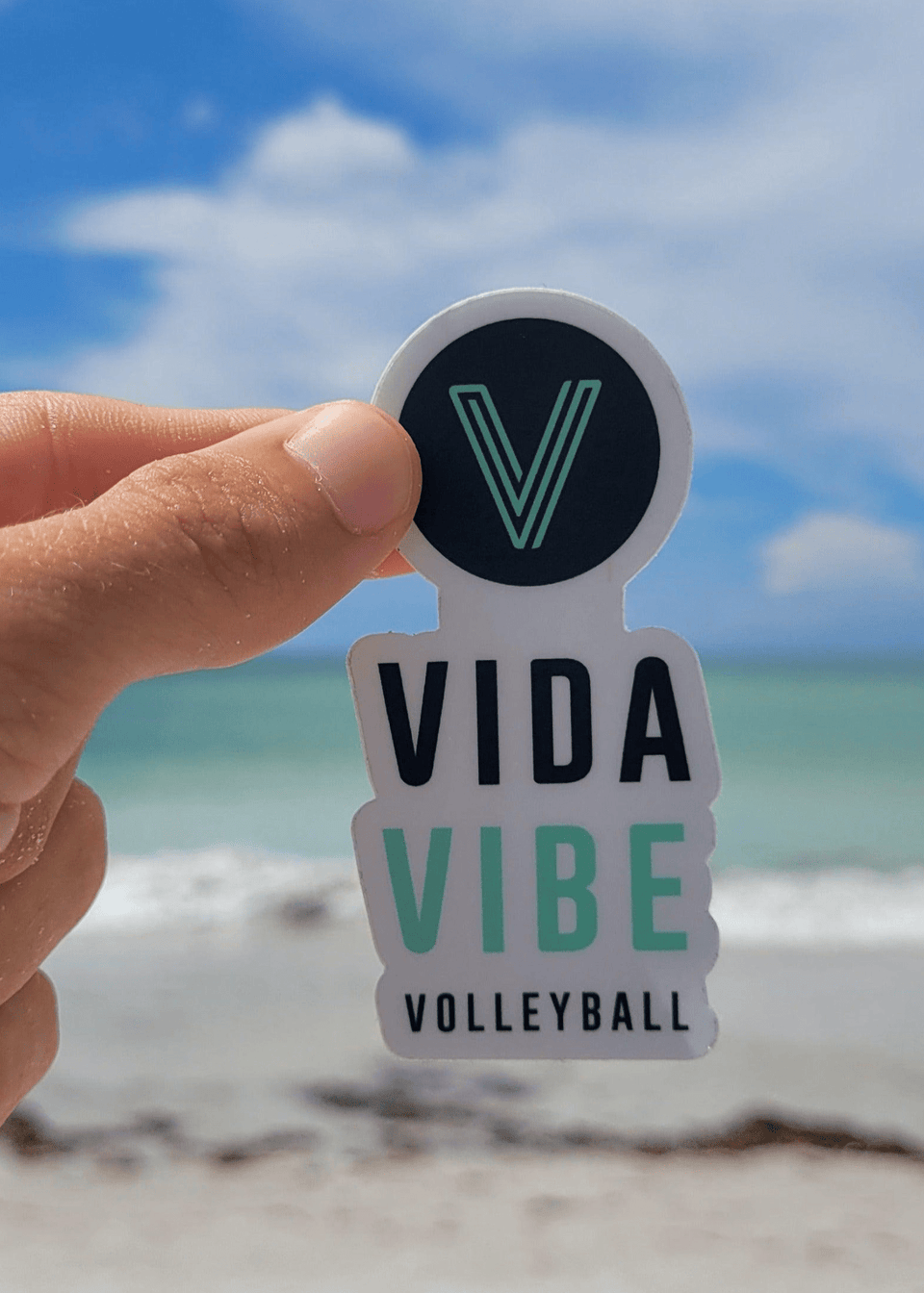VidaVibe Volleyball Sticker